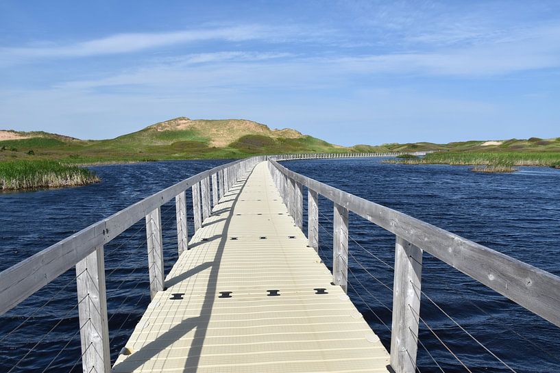 A walkway to the park by Claude Laprise
