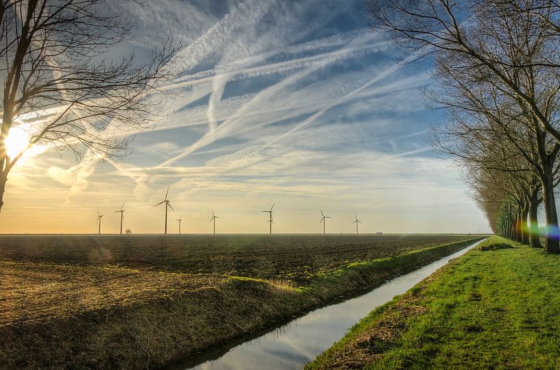 Kaal en droog in de winter bij Almere Pampus van Sven Wildschut