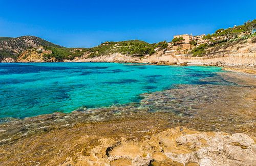 Idyllic sea view of the coast bay in Camp de Mar, Mallorca island, Spain Mediterranean sea