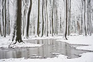 Stiller Winterfluss im verschneiten Wald