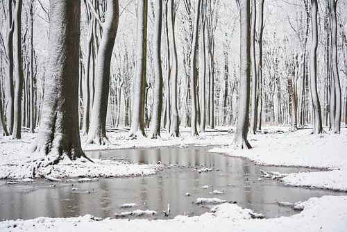Stille winterstroom in besneeuwd bos