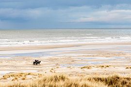 Chevaux sur la plage près de Hoorn (Terschelling) sur Alex Hamstra