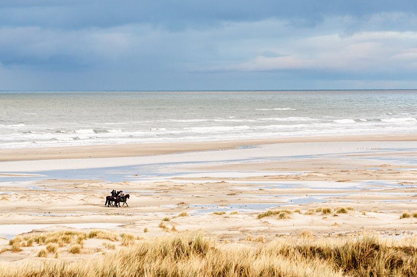 Paarden op het strand bij Hoorn (Terschelling) van Alex Hamstra