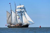 Dreimaster-Schoner Gulden Leeuw segelt auf dem Wattenmeer von Sjoerd van der Wal Fotografie Miniaturansicht