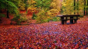 Solid Hole in autumn colours by eric van der eijk