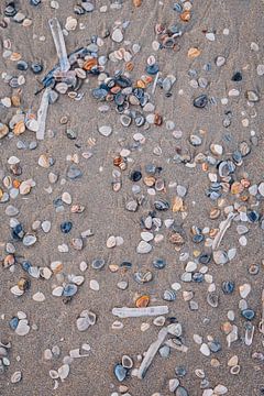 Golden hour schelpen op het strand van Katwijk aan Zee | Strand fotografie in Nederland van Evelien Lodewijks