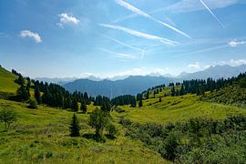 summer view of the Allgäu Alps e.g. Trettachspitze, Höfats from Fellhorn by Leo Schindzielorz