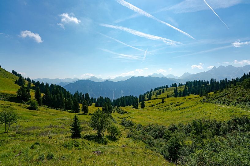 sommerlicher Ausblick auf die Allgäuer Alpen z.b. Trettachspitze, Höfats vom Fellhorn von Leo Schindzielorz