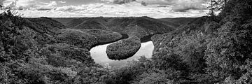 Natuur Landschap zwart-wit van Manfred Voss, Zwart-Wit Fotografie