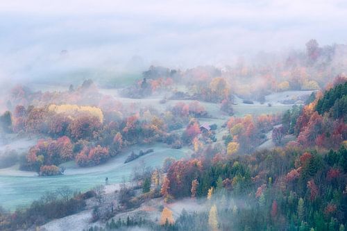 Morning fog over the autumn forest in the Swabian Alb