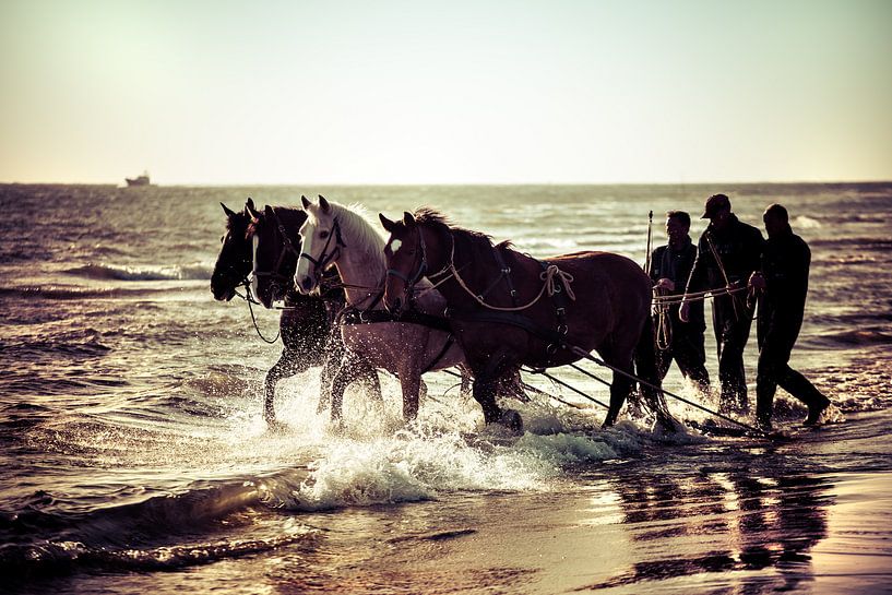 Paarden op het strand by Evert Jan Kip