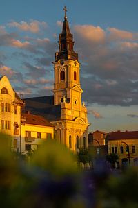 Mondkirche in Oradea am Abend
