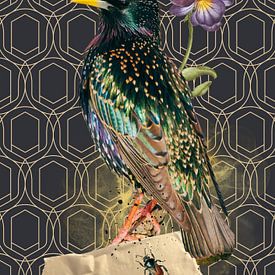 Étourneau sur papier peint géométrique sur Postergirls