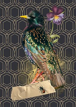 Étourneau sur papier peint géométrique sur Postergirls