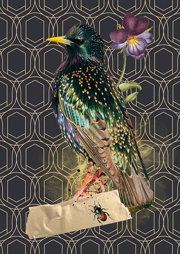 Spreeuw op geometrisch behang van Postergirls