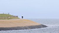 Fietsen op de dijk langs de Waddenzee op Texel van Rob IJsselstein thumbnail