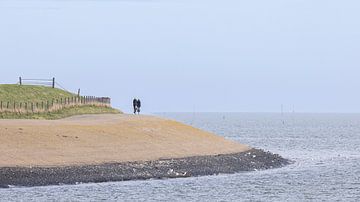 Radfahren auf dem Deich entlang des Wattenmeeres auf Texel