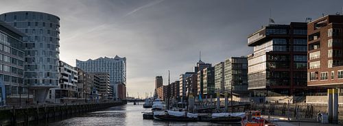 Speicherstadt en Elbphilharmonie in Hamburg van Jonas Weinitschke