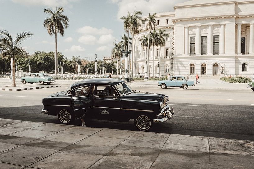 Havana by Hello Pompoyo