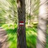 Zoomscape eines Sommerwaldes mit Wegweiser von Sean Vos