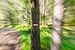 Zoomscape eines Sommerwaldes mit Wegweiser von Sean Vos
