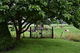 Rustgevend landschap van Van alles wat
