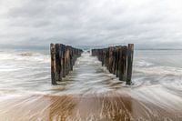 Beweging aan Zee