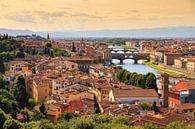 Sommer in Florenz von Dennis van de Water Miniaturansicht