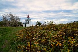 Vuurtoren aan zee en zonnestralen