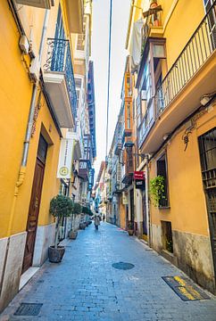 Mooie steeg in het historische stadscentrum van Palma de Mallorca, Balearen van Alex Winter