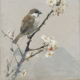 Vogel auf einem blühenden Zweig in zarten Frühlingsfarben von But First Framing