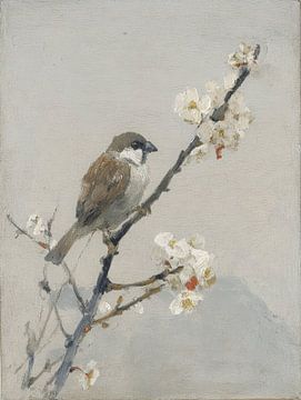 Vogel auf einem blühenden Zweig in zarten Frühlingsfarben