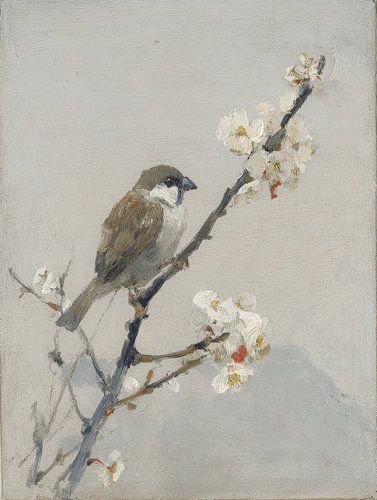 Vogel auf einem blühenden Zweig in zarten Frühlingsfarben