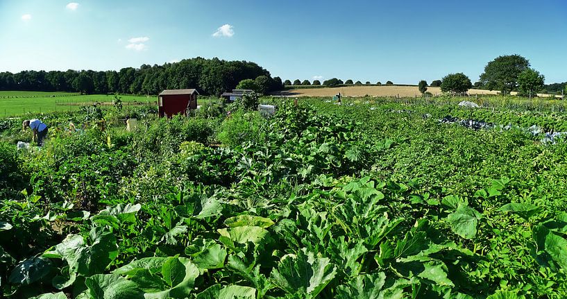 Herten Disteln Panorama van Edgar Schermaul