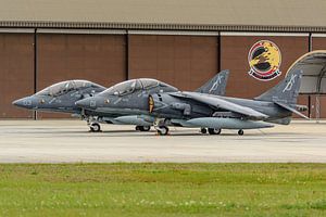 Zwei McDonnell Douglas TAV-8B Harrier.