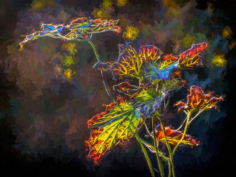 Herfstbladeren van Rob Boon