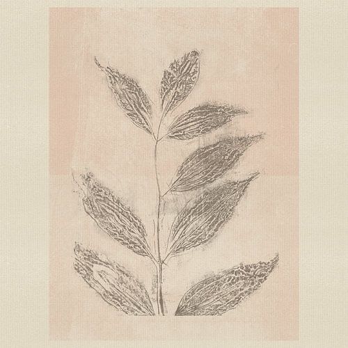 Delicate bladeren in taupe op zachtroze. Minimalistisch botanisch