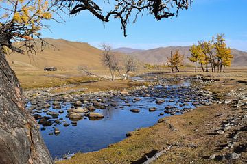 Bat-Ölzii, Mongolië - IV van Jarne Buttiens