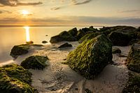 Sunset Rocks one!
