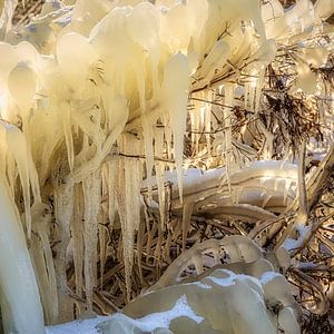 Ice sculpture