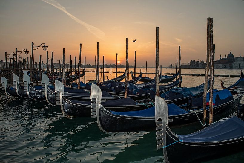 Venice - Romantic sunrise behind the gondolas at St. Mark's Square by t.ART