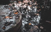 Trittsteine im Wasser