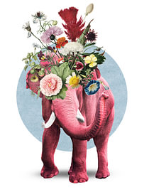 The Pink Floraphant van Marja van den Hurk