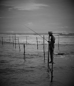 Pêcheur à la perche au Sri Lanka