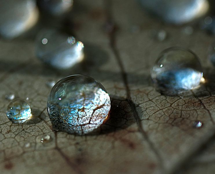 kristalheldere druppels van Anouschka Hendriks