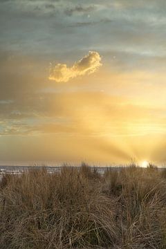 Uitzicht over het strand op Usedom met duinen aan de ene kant en de Baltische Zee aan de andere kant van Martin Köbsch