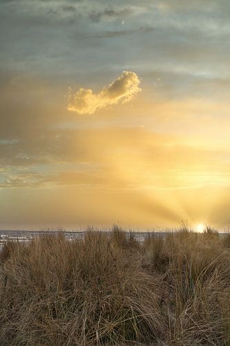Vue sur la plage d'Usedom avec les dunes d'un côté et la mer Baltique de l'autre.
