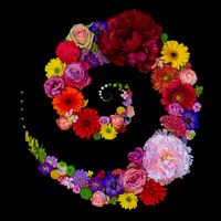 Endless flowers