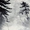 Facing the adventure (schwarz-weiß Aquarellmalerei Landschaft Kanu Natur Mannshöhle grau Segeln Mann von Natalie Bruns