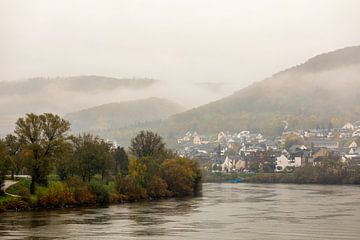 Cochem on the Moselle by gea strucks
